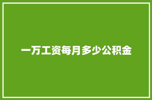 一万工资每月多少公积金