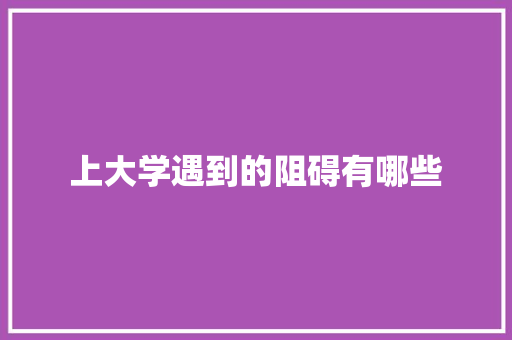 上大学遇到的阻碍有哪些