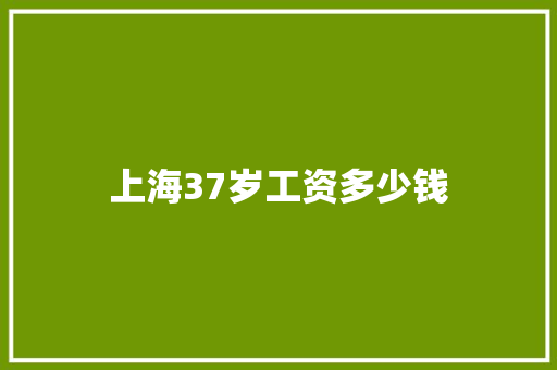 上海37岁工资多少钱