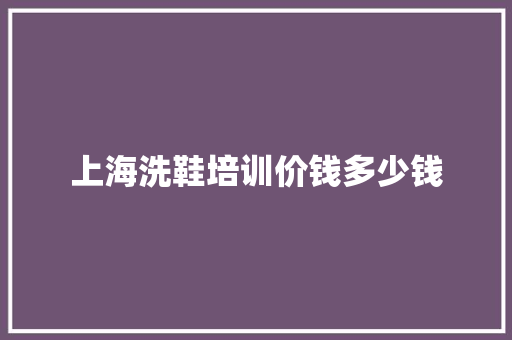 上海洗鞋培训价钱多少钱