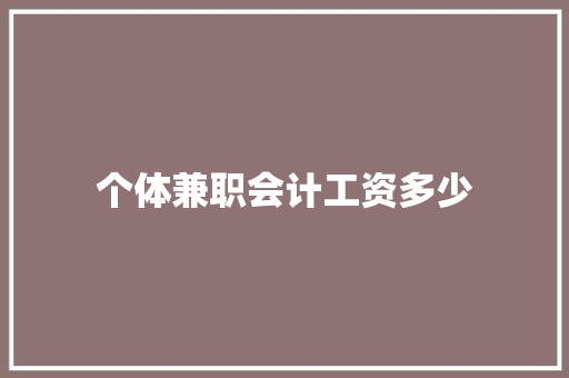 个体兼职会计工资多少