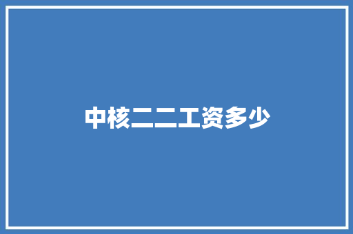 中核二二工资多少