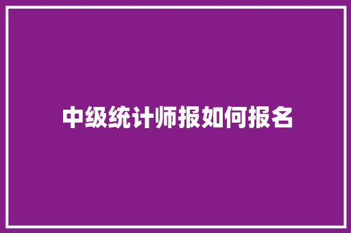 中级统计师报如何报名