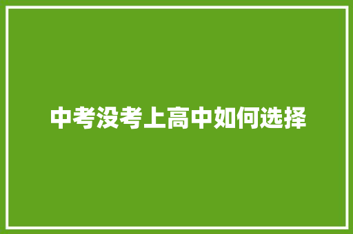 中考没考上高中如何选择