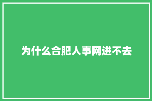 为什么合肥人事网进不去