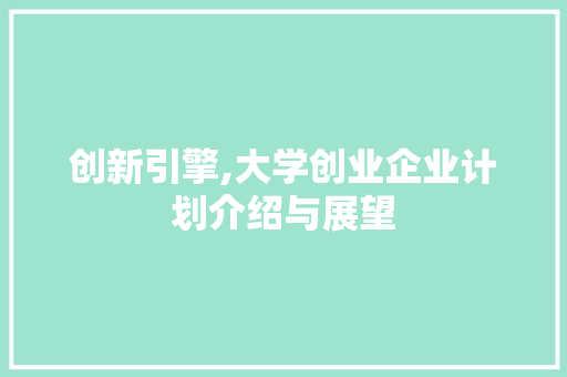 创新引擎,大学创业企业计划介绍与展望