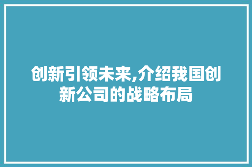 创新引领未来,介绍我国创新公司的战略布局