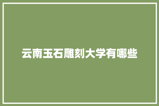 云南玉石雕刻大学有哪些