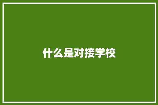 什么是对接学校