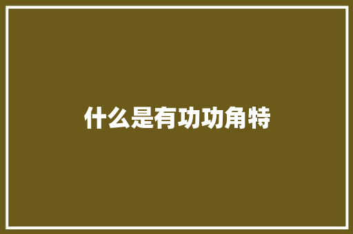 什么是有功功角特