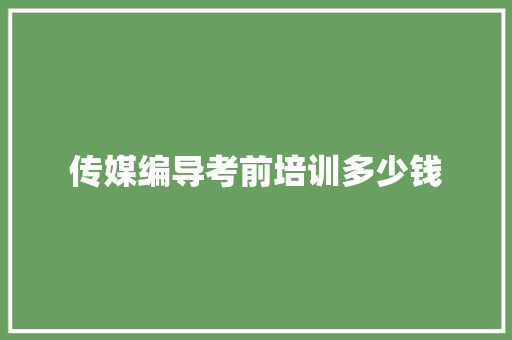传媒编导考前培训多少钱