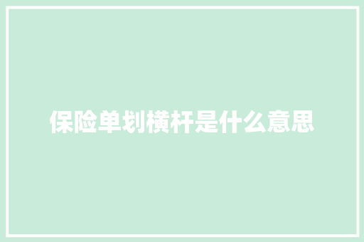 保险单划横杆是什么意思