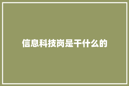 信息科技岗是干什么的