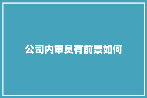 公司内审员有前景如何