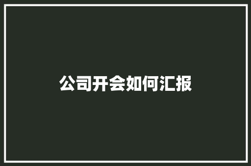 公司开会如何汇报