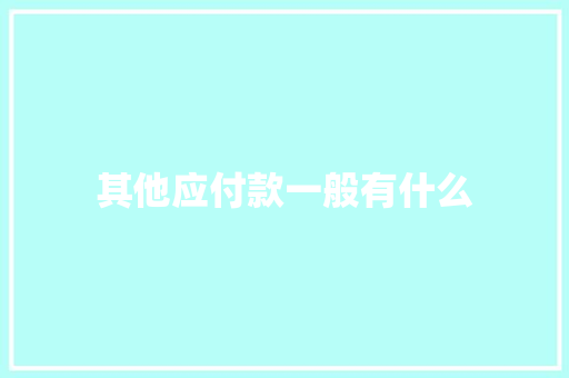 其他应付款一般有什么