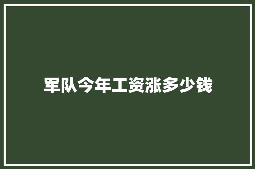 军队今年工资涨多少钱