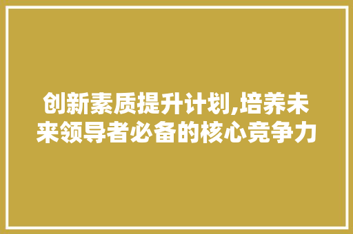 创新素质提升计划,培养未来领导者必备的核心竞争力