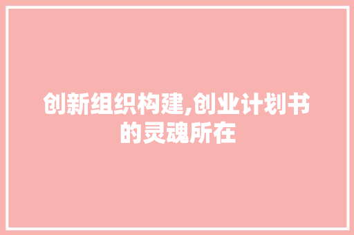 创新组织构建,创业计划书的灵魂所在