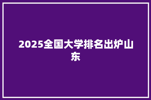 2025全国大学排名出炉山东