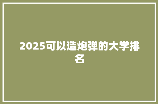 2025可以造炮弹的大学排名