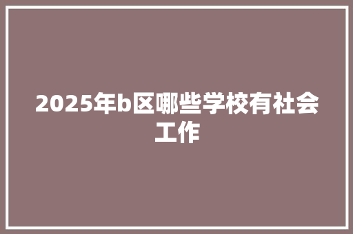 2025年b区哪些学校有社会工作