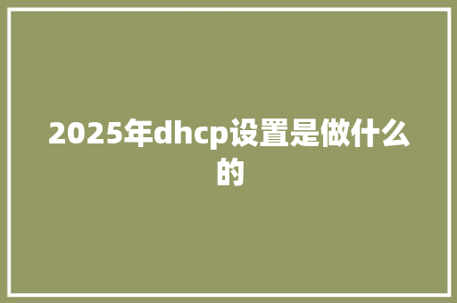 2025年dhcp设置是做什么的