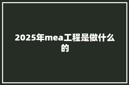2025年mea工程是做什么的