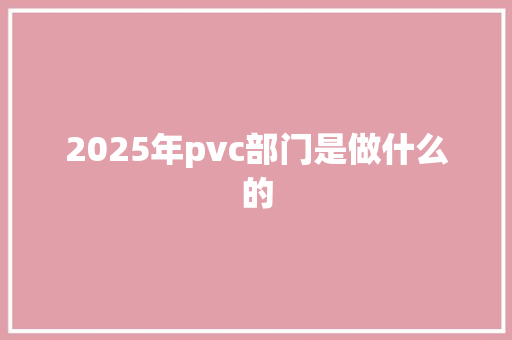 2025年pvc部门是做什么的