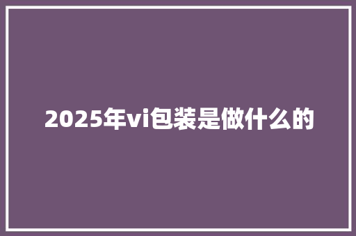 2025年vi包装是做什么的