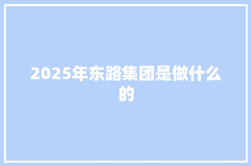 2025年东路集团是做什么的