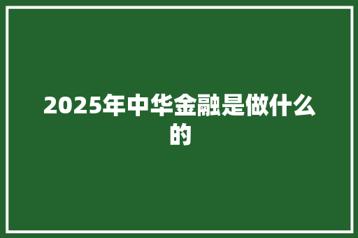 2025年中华金融是做什么的