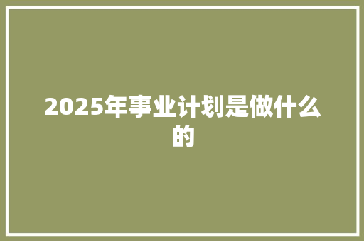 2025年事业计划是做什么的