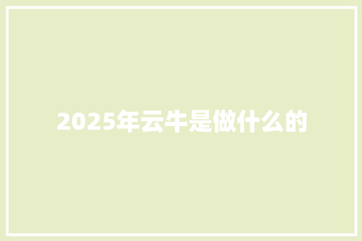 2025年云牛是做什么的