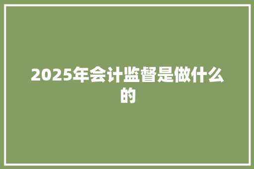 2025年会计监督是做什么的