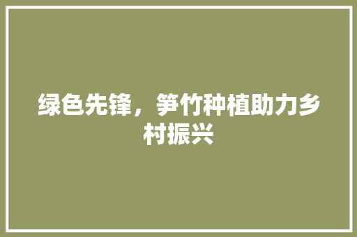 绿色先锋，笋竹种植助力乡村振兴