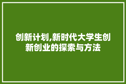 创新计划,新时代大学生创新创业的探索与方法