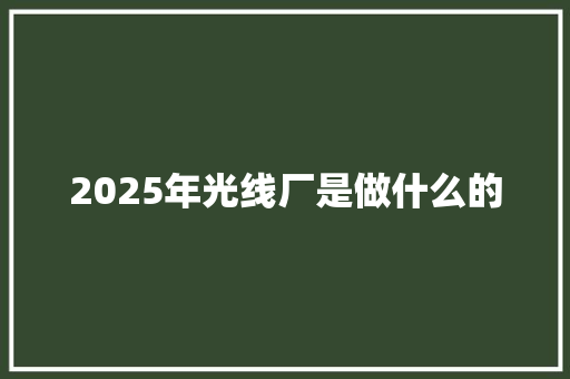 2025年光线厂是做什么的