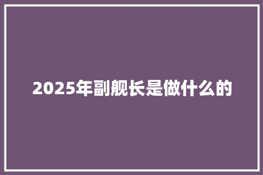 2025年副舰长是做什么的