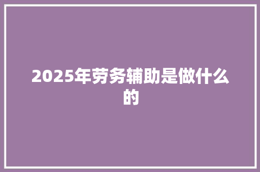 2025年劳务辅助是做什么的