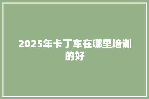 2025年卡丁车在哪里培训的好