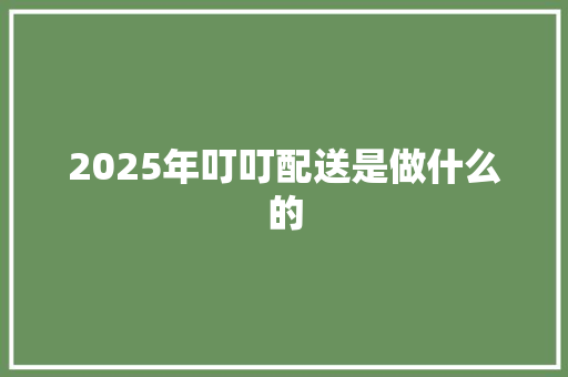 2025年叮叮配送是做什么的