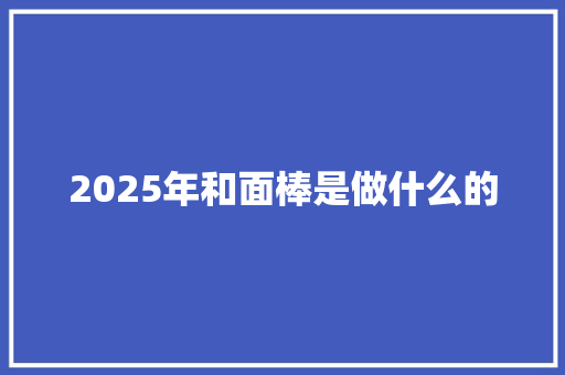 2025年和面棒是做什么的