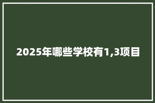 2025年哪些学校有1,3项目