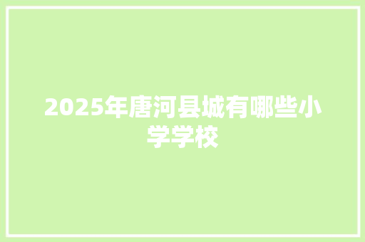 2025年唐河县城有哪些小学学校