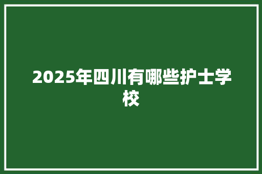 2025年四川有哪些护士学校 范文精选网
