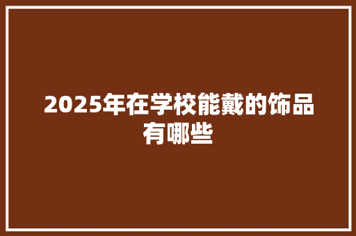 2025年在学校能戴的饰品有哪些