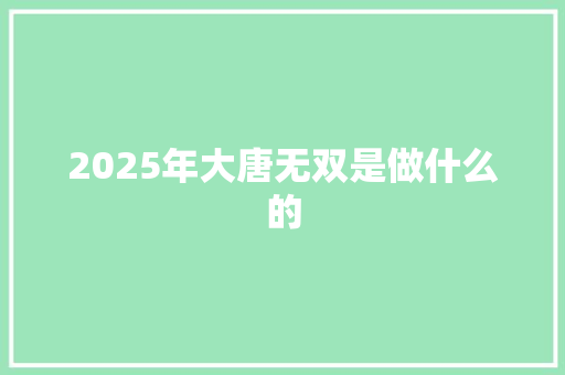 2025年大唐无双是做什么的