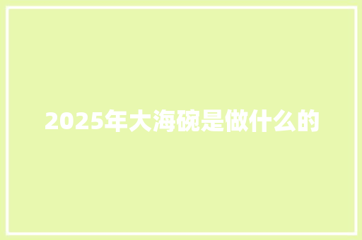 2025年大海碗是做什么的