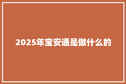 2025年宝安通是做什么的